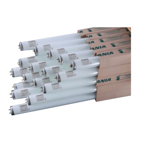 CWF 2 Feet Tube Light Philips Poland